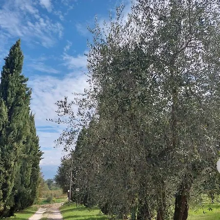 Podere Delle Arti * 필리네발다르노