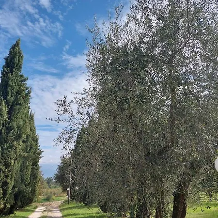 Podere Delle Arti * Figline Valdarno
