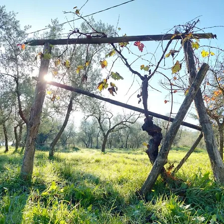Podere Delle Arti Farm stay