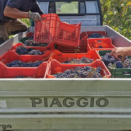 Farm stay Podere Delle Arti *