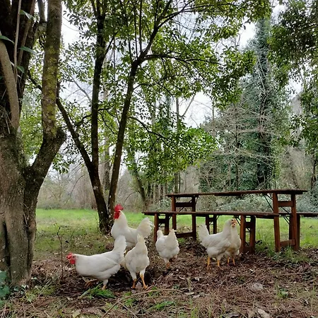 Podere Delle Arti Farm stay