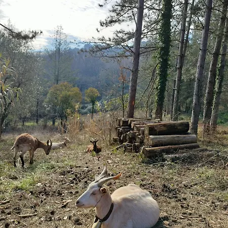 Podere Delle Arti * 필리네발다르노