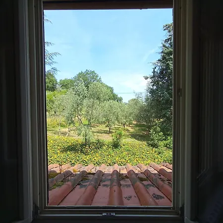 Podere Delle Arti 필리네발다르노