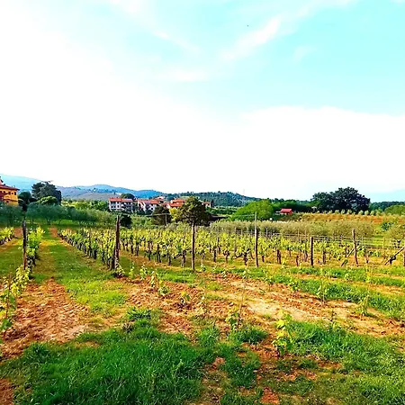 Podere Delle Arti 팜스테이 필리네발다르노