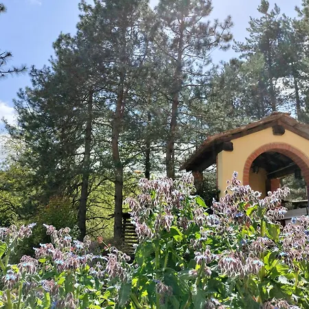 Podere Delle Arti Farm stay *